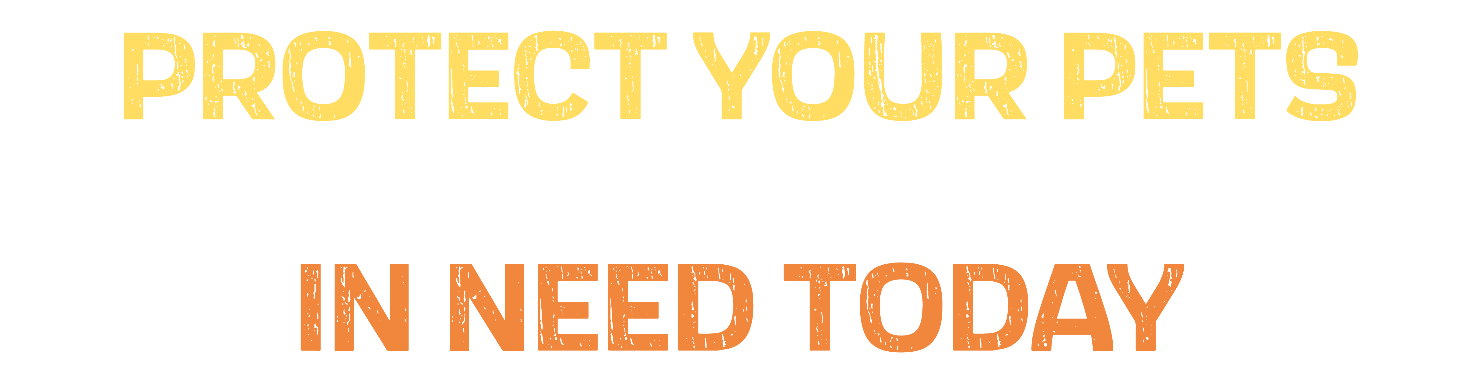 Protect Your Pets And Support Animals In Need Today