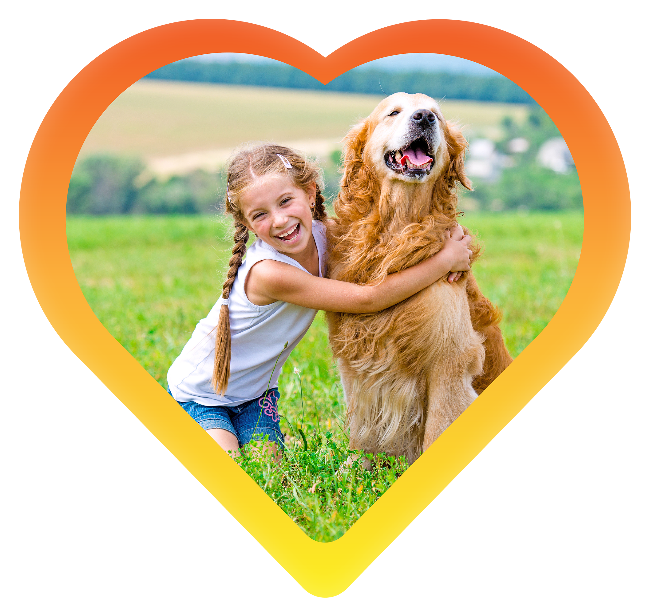 Pet Health First - Protect your pets