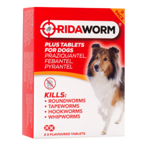 treat my dog for worms