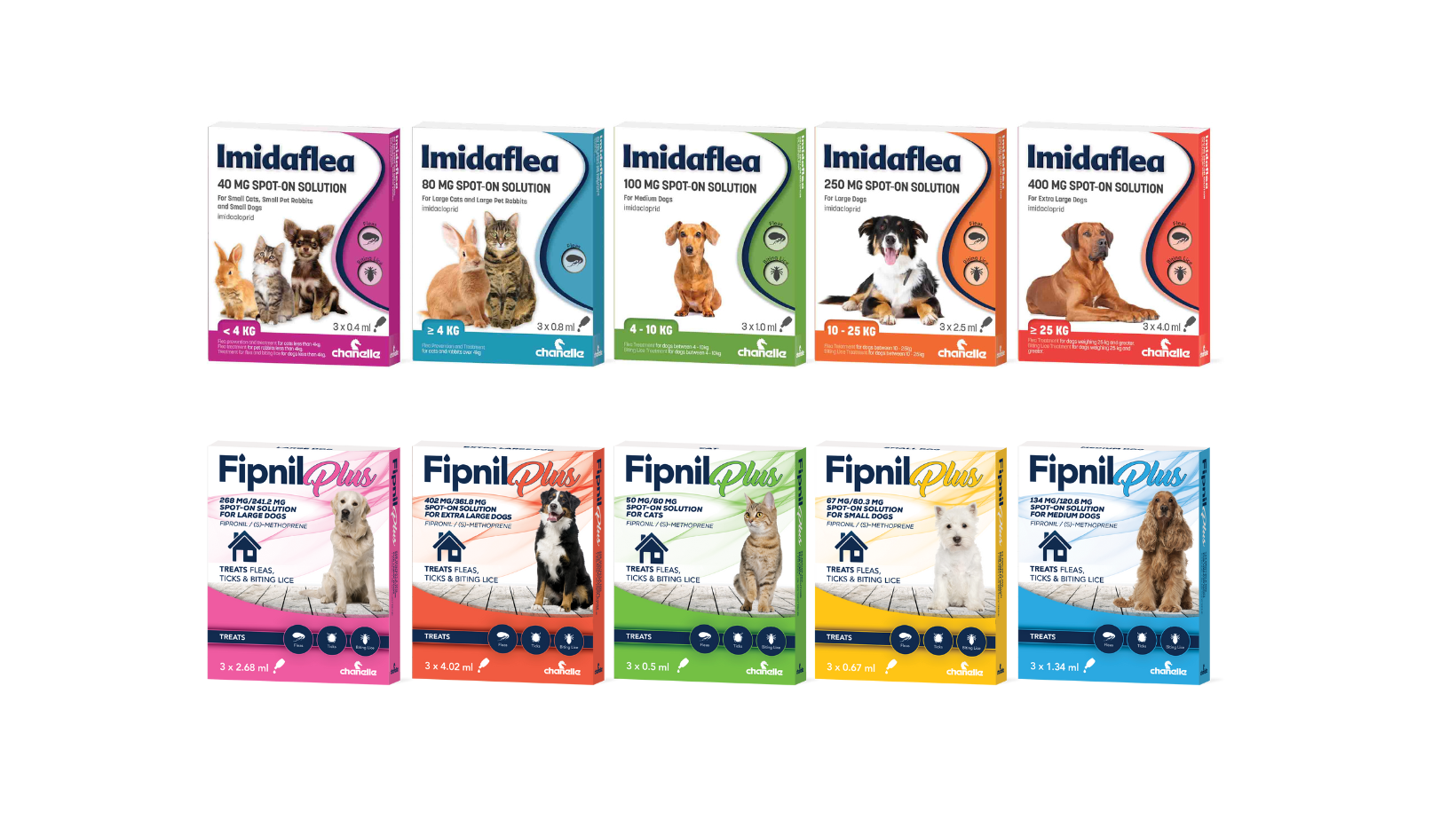 Choosing the right flea and wormer products for your pet